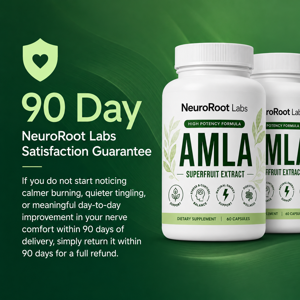 Amla Superfruit Extract (1000mg)