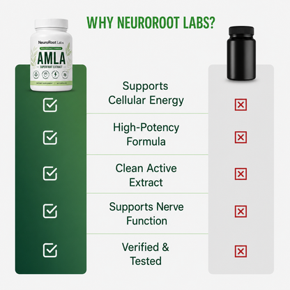 Amla Superfruit Extract (1000mg)