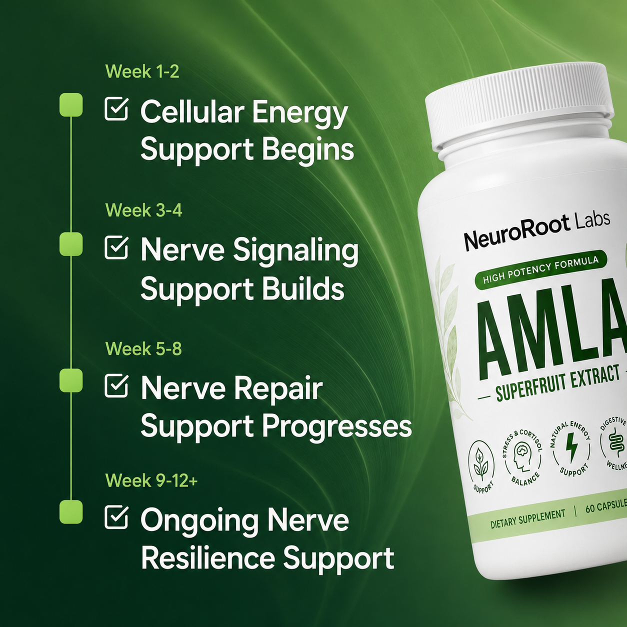 Amla Superfruit Extract (1000mg)